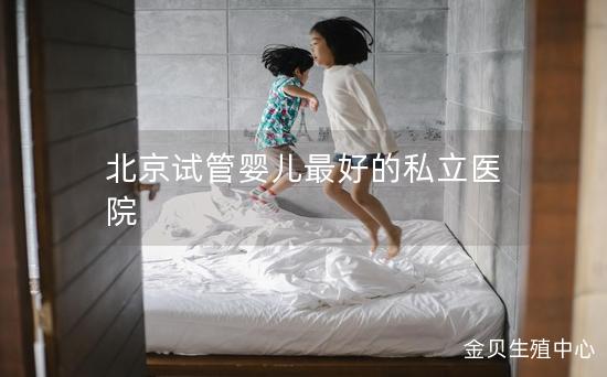 北京试管婴儿最好的私立医院